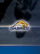 Buffalo Sabres screenshot #1 132x176