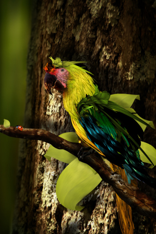 Rare Parrot wallpaper 320x480