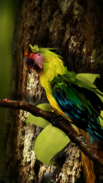 Fondo de pantalla Rare Parrot 360x640