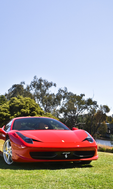 Fondo de pantalla Red Ferrari 480x800