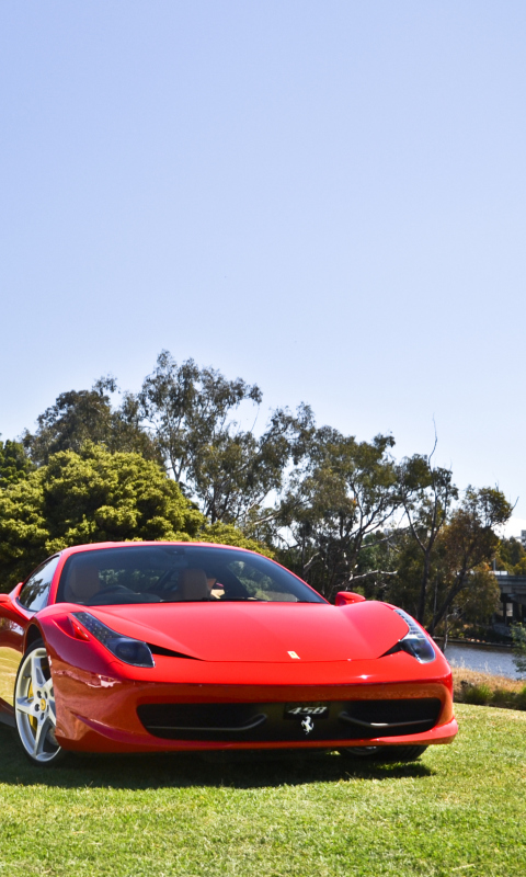 Das Red Ferrari Wallpaper 480x800