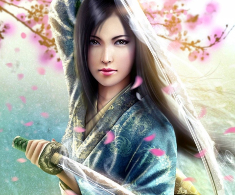 Das Woman Samurai Wallpaper 480x400