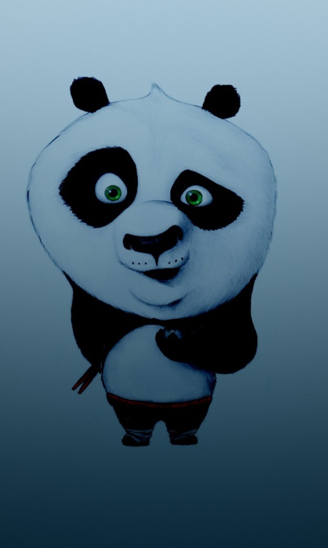Fondo de pantalla Kung Fu Panda 480x800