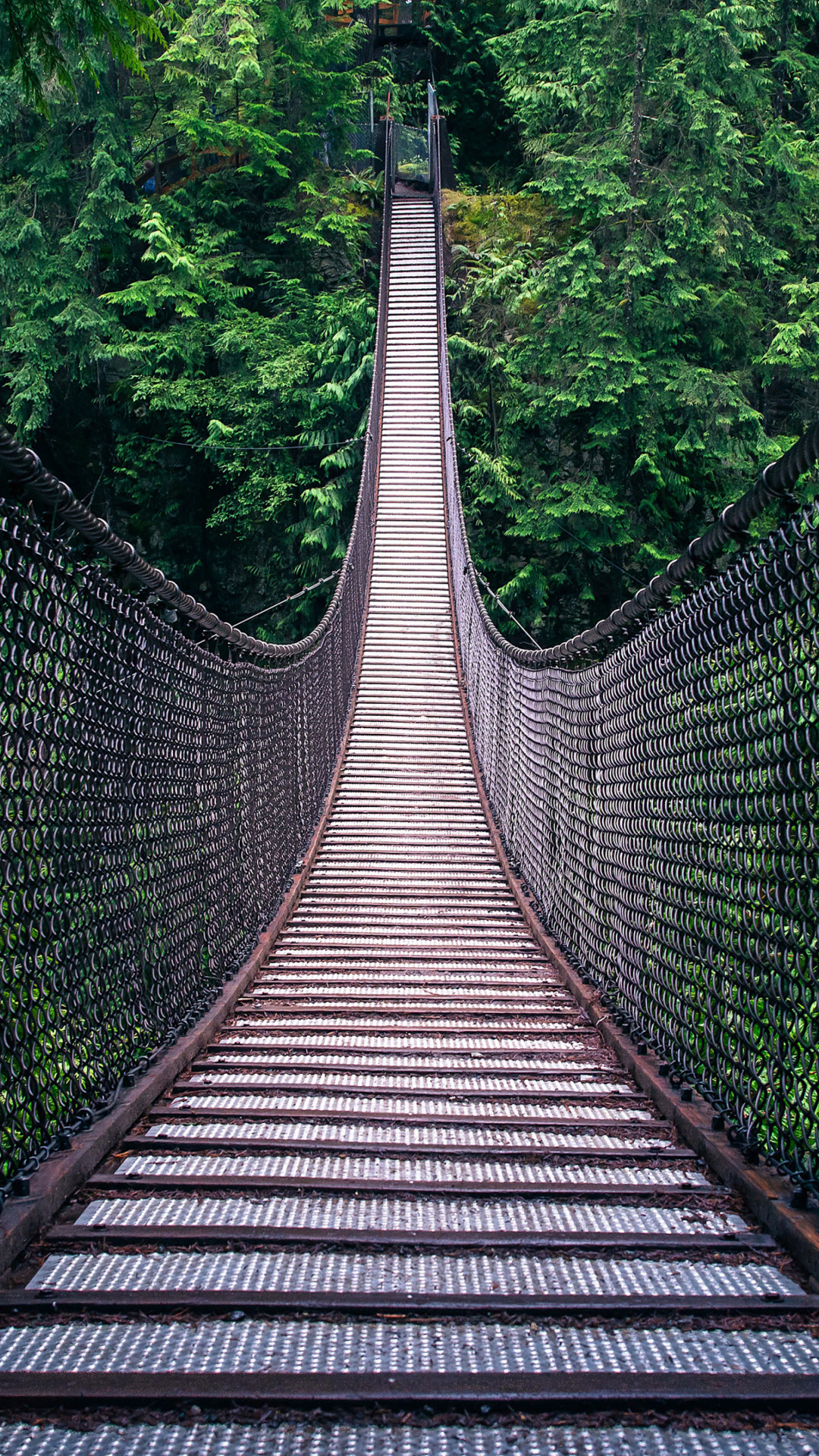 Обои Lynn Canyon Suspension Bridge in British Columbia 1080x1920