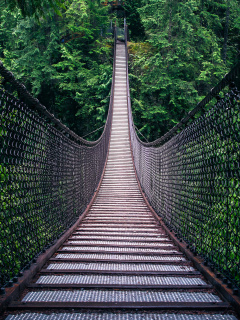 Fondo de pantalla Lynn Canyon Suspension Bridge in British Columbia 240x320