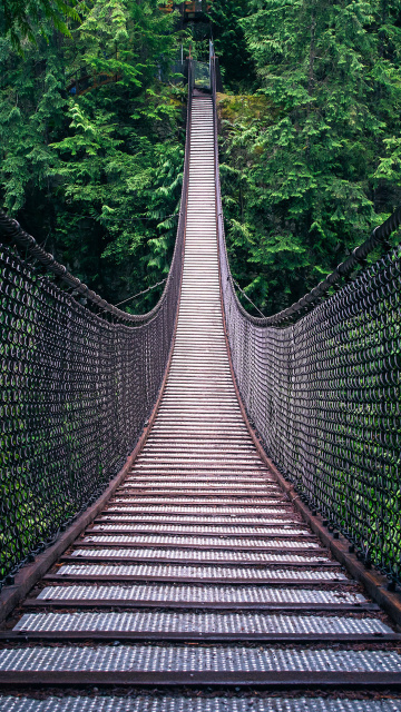 Das Lynn Canyon Suspension Bridge in British Columbia Wallpaper 360x640