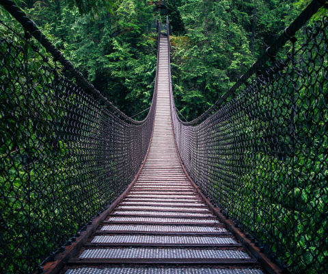 Обои Lynn Canyon Suspension Bridge in British Columbia 480x400