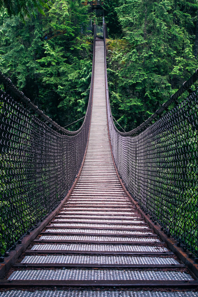 Обои Lynn Canyon Suspension Bridge in British Columbia 640x960