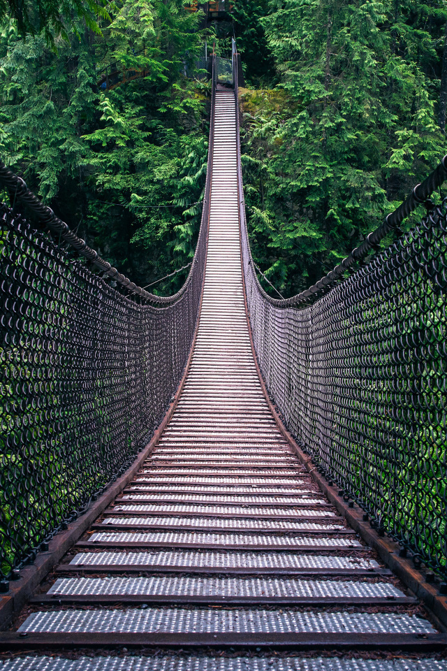 Lynn Canyon Suspension Bridge in British Columbia wallpaper 640x960