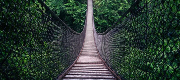 Lynn Canyon Suspension Bridge in British Columbia wallpaper 720x320