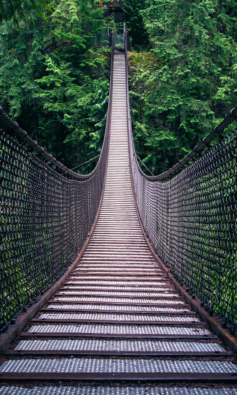 Lynn Canyon Suspension Bridge in British Columbia screenshot #1 768x1280