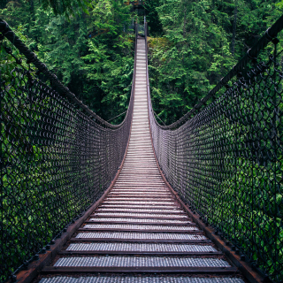 Lynn Canyon Suspension Bridge in British Columbia - Obrázkek zdarma pro iPad 3