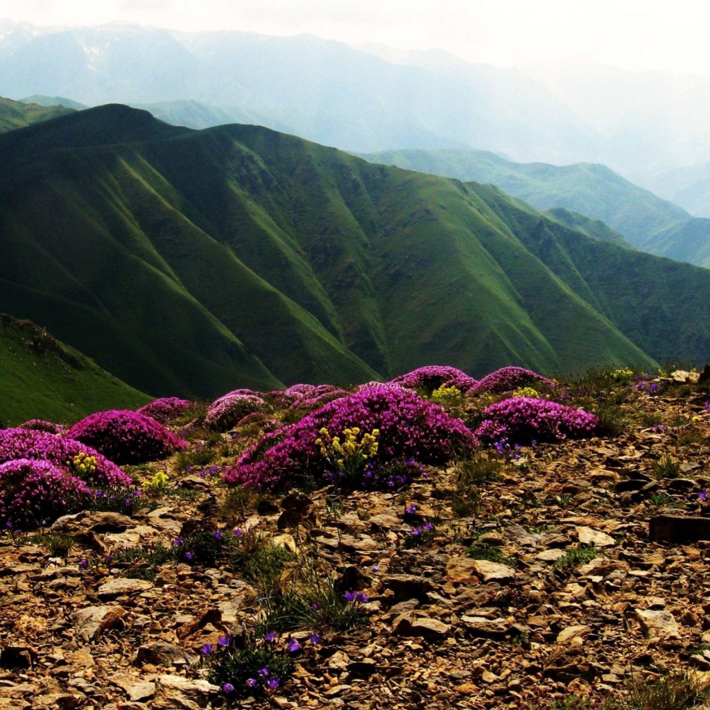 Обои Armenia Mountain 1024x1024