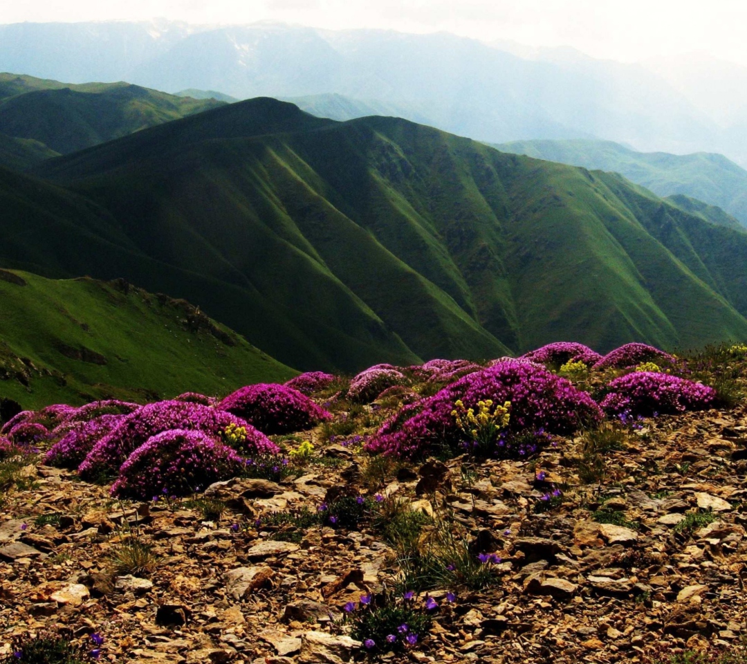 Обои Armenia Mountain 1080x960