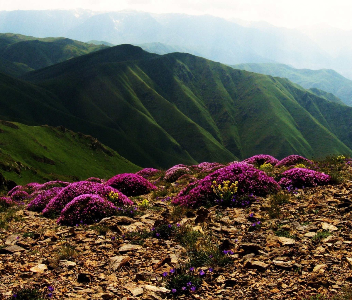 Fondo de pantalla Armenia Mountain 1200x1024