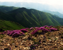 Fondo de pantalla Armenia Mountain 220x176