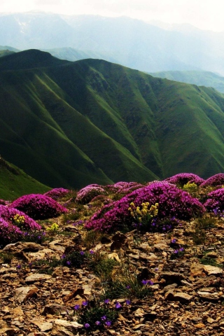 Armenia Mountain wallpaper 320x480