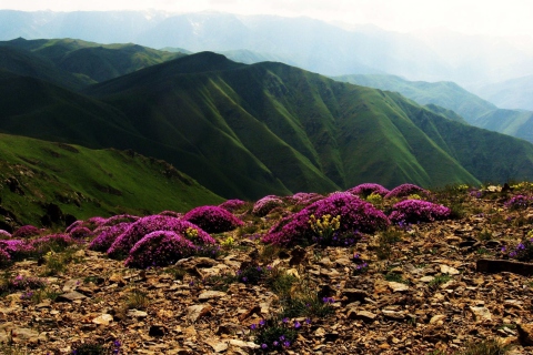 Обои Armenia Mountain 480x320