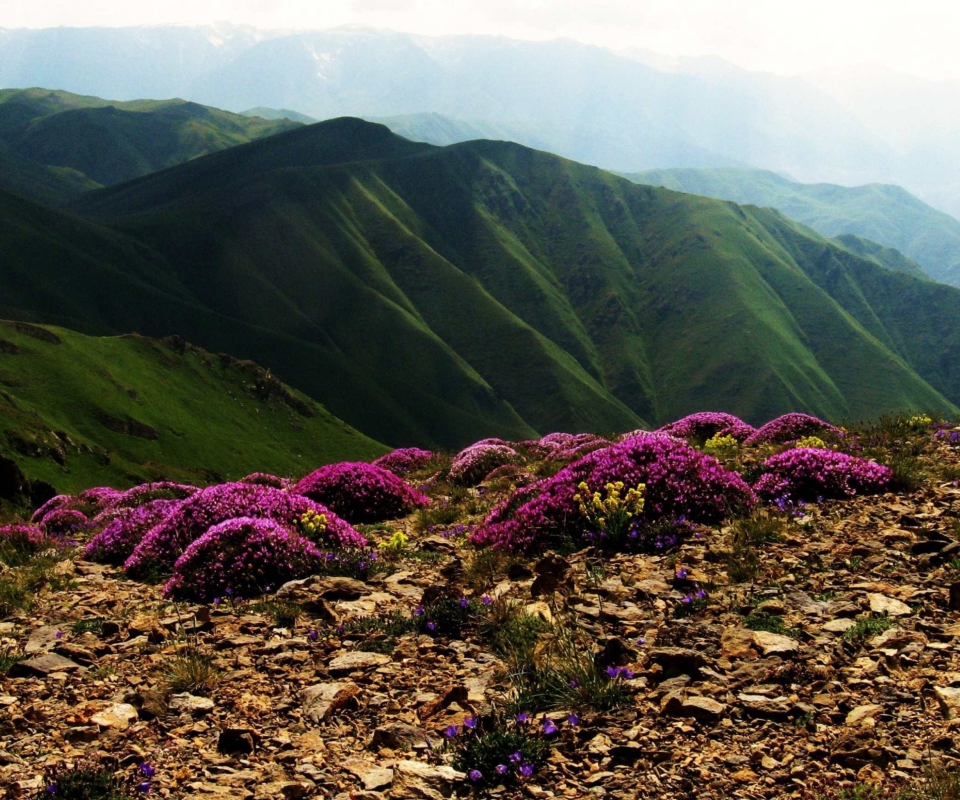 Обои Armenia Mountain 960x800