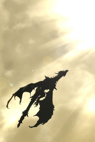 Dragon wallpaper 320x480