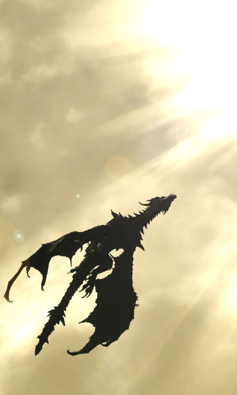 Dragon wallpaper 768x1280