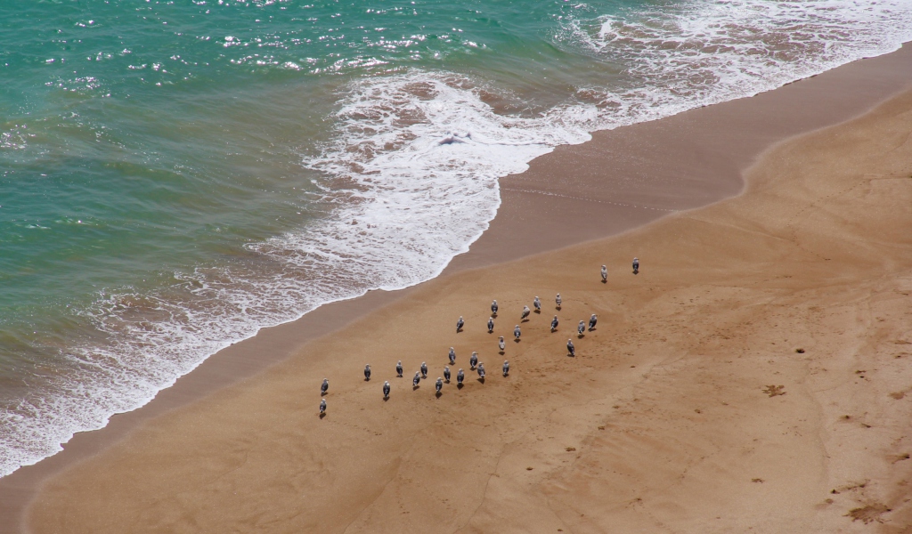 Fondo de pantalla Beach 1024x600