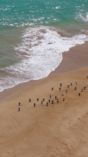 Sfondi Beach 360x640