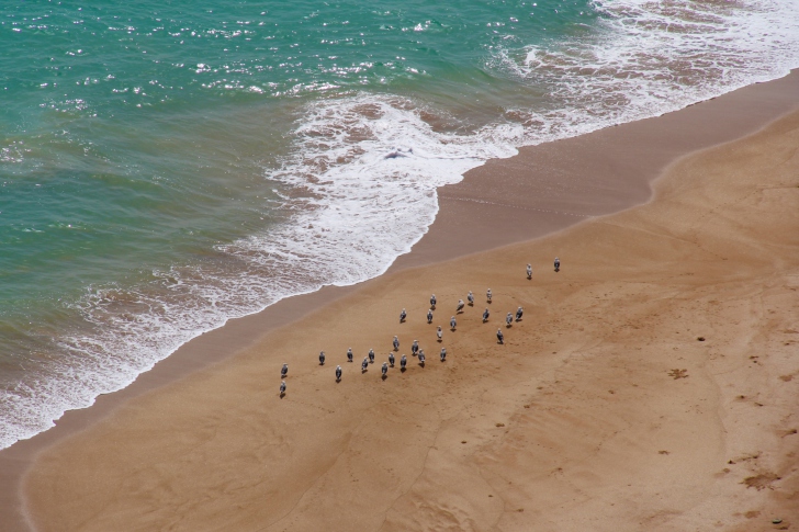 Beach screenshot #1