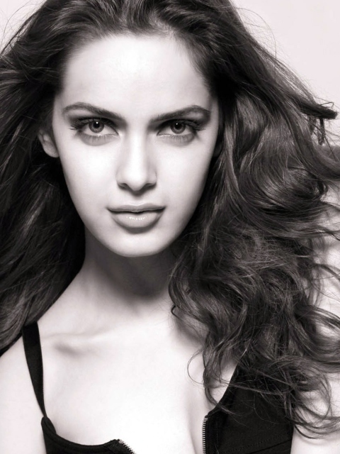 Screenshot №1 pro téma Shazahn Padamsee 2013 480x640