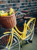 Fondo de pantalla Yellow Tulips Bicycle 132x176