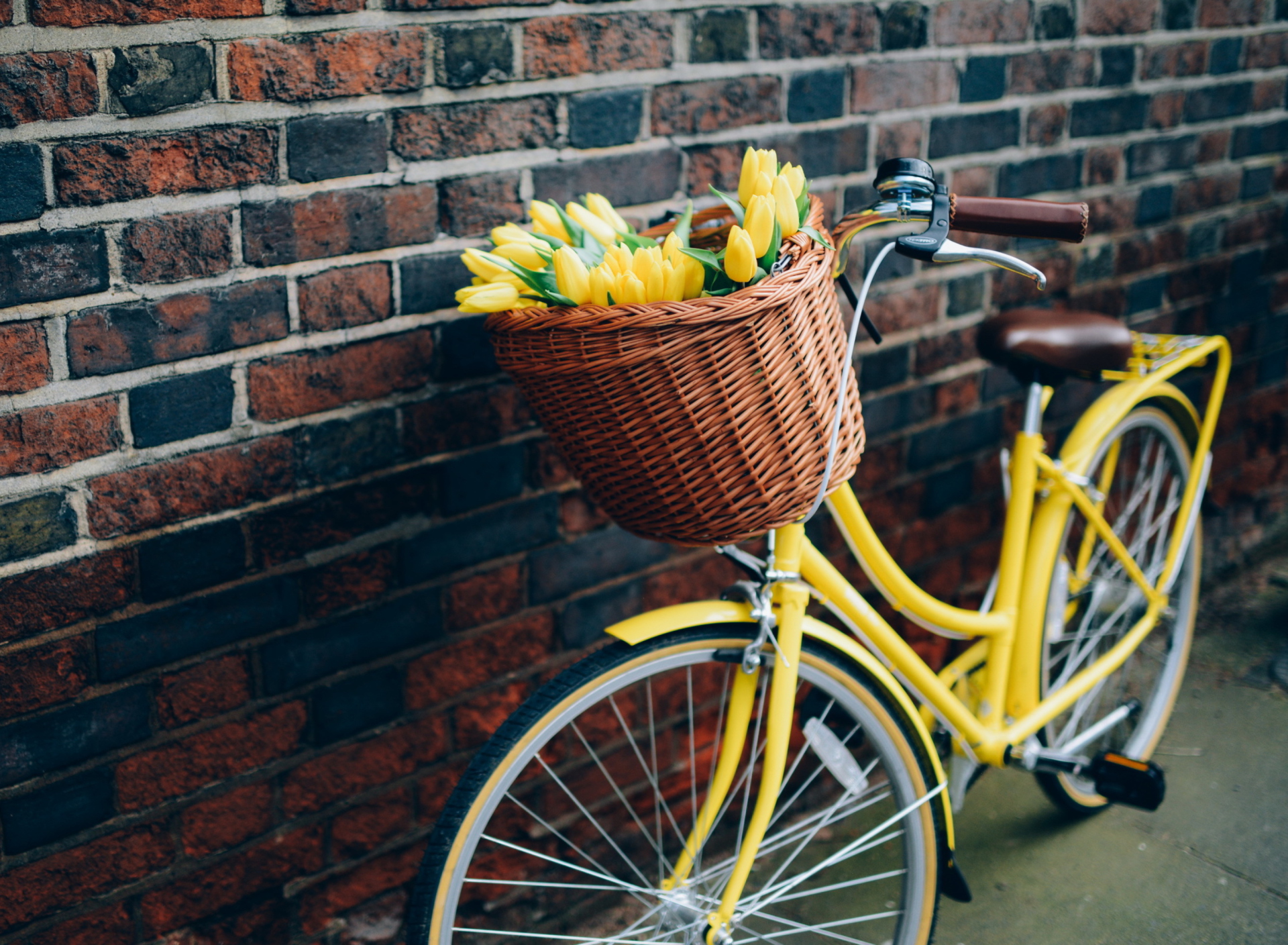 Sfondi Yellow Tulips Bicycle 1920x1408