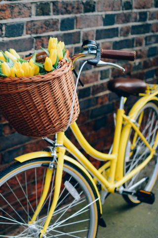 Fondo de pantalla Yellow Tulips Bicycle 320x480