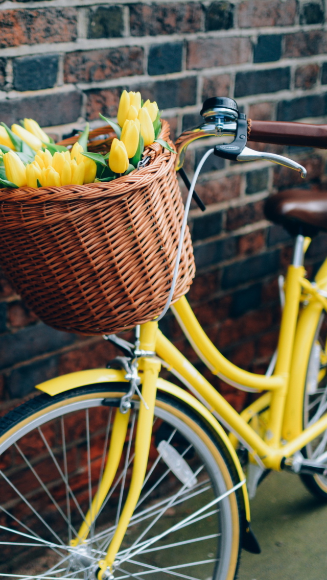Yellow Tulips Bicycle screenshot #1 640x1136