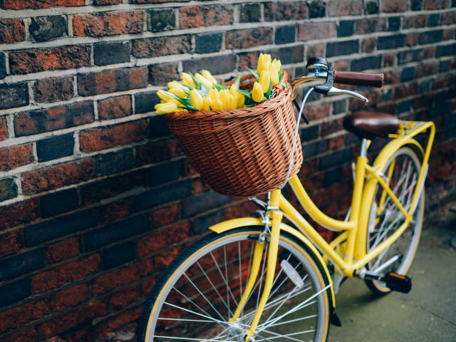 Sfondi Yellow Tulips Bicycle 640x480