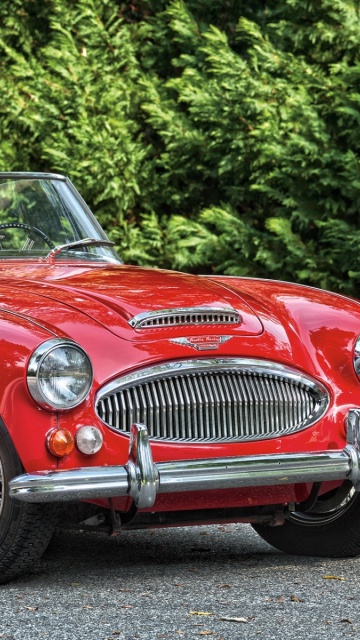 Fondo de pantalla 1966 Austin Healey 3000 360x640