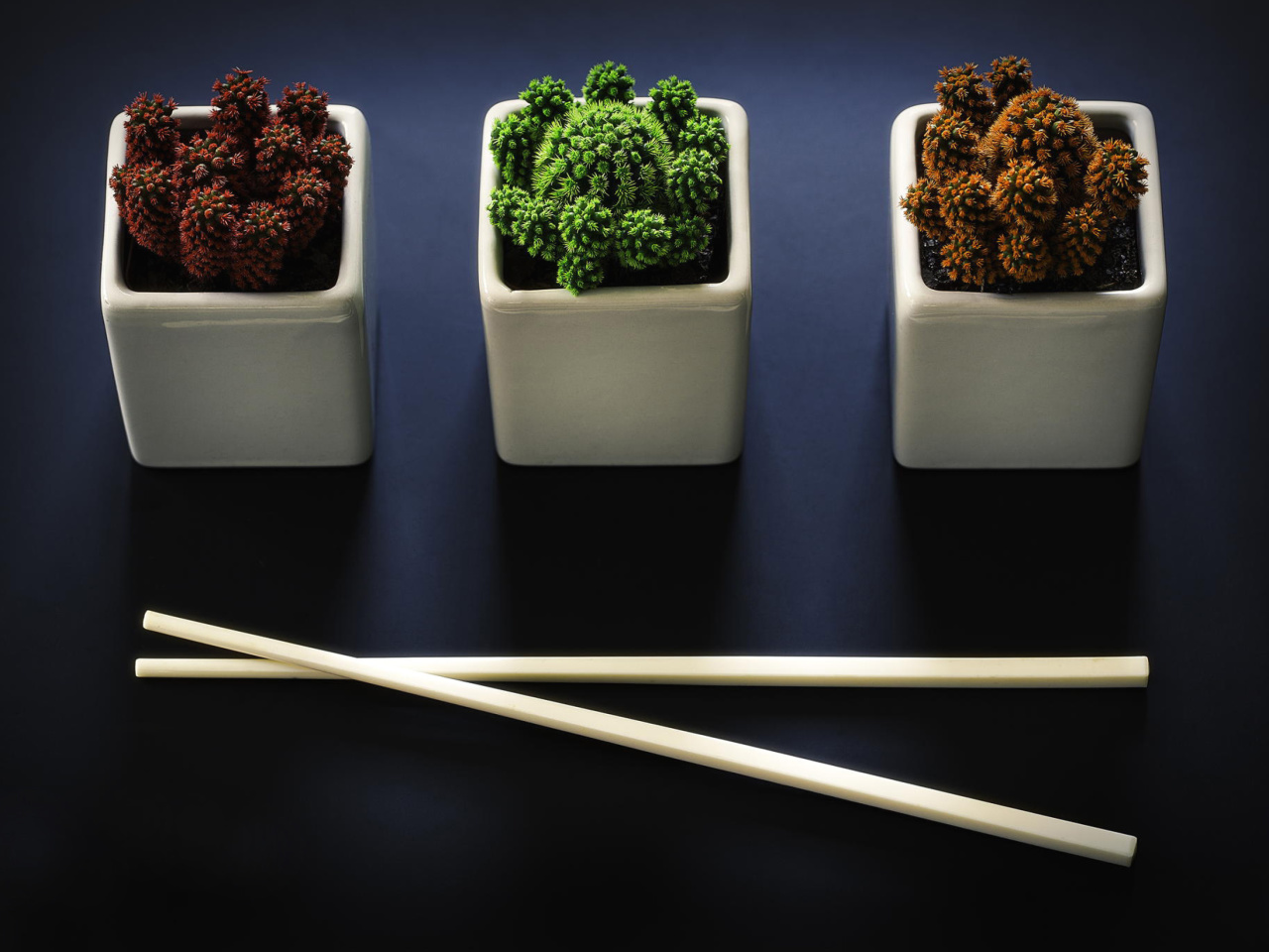 Das Chinese Chopsticks Wallpaper 1280x960