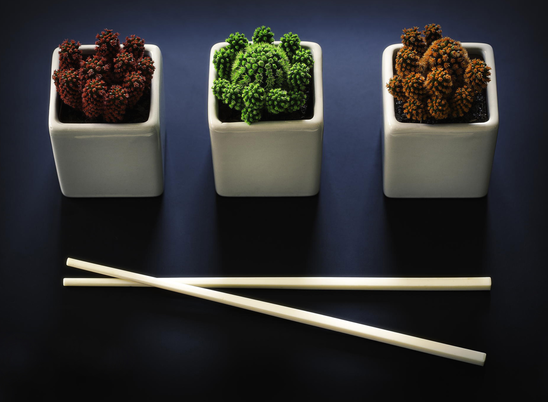 Chinese Chopsticks wallpaper 1920x1408