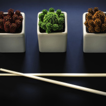 Das Chinese Chopsticks Wallpaper 208x208