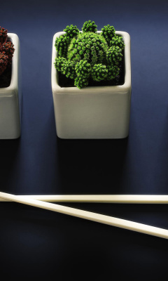 Chinese Chopsticks wallpaper 240x400