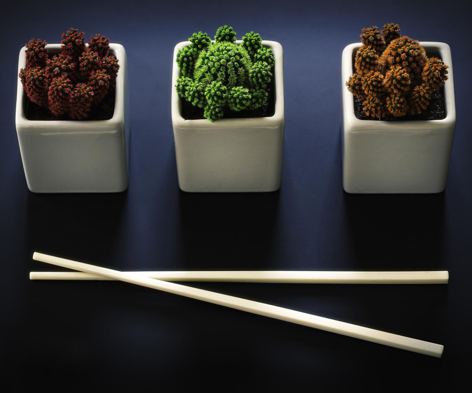 Fondo de pantalla Chinese Chopsticks 960x800