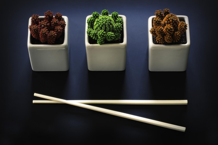 Chinese Chopsticks screenshot #1