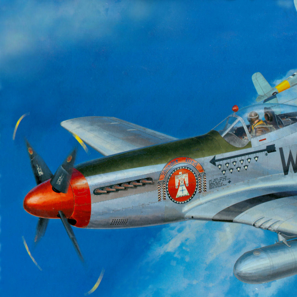 Das North American P-51 Mustang Fighter Wallpaper 1024x1024