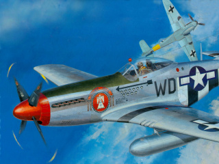 Das North American P-51 Mustang Fighter Wallpaper 320x240