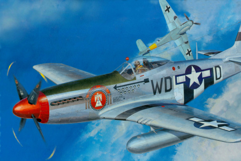 Fondo de pantalla North American P-51 Mustang Fighter 480x320