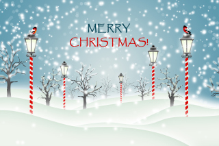Christmas Park with Snow Picture for Android, iPhone and iPad