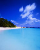 Das Tropical Summer Beach HDR Wallpaper 128x160