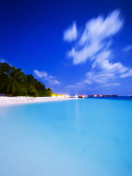 Tropical Summer Beach HDR wallpaper 132x176