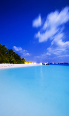 Tropical Summer Beach HDR wallpaper 240x400