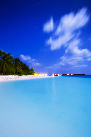 Tropical Summer Beach HDR wallpaper 320x480