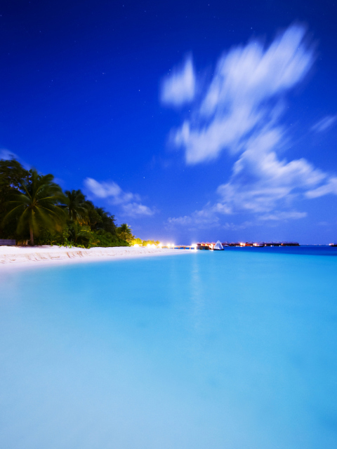 Tropical Summer Beach HDR screenshot #1 480x640